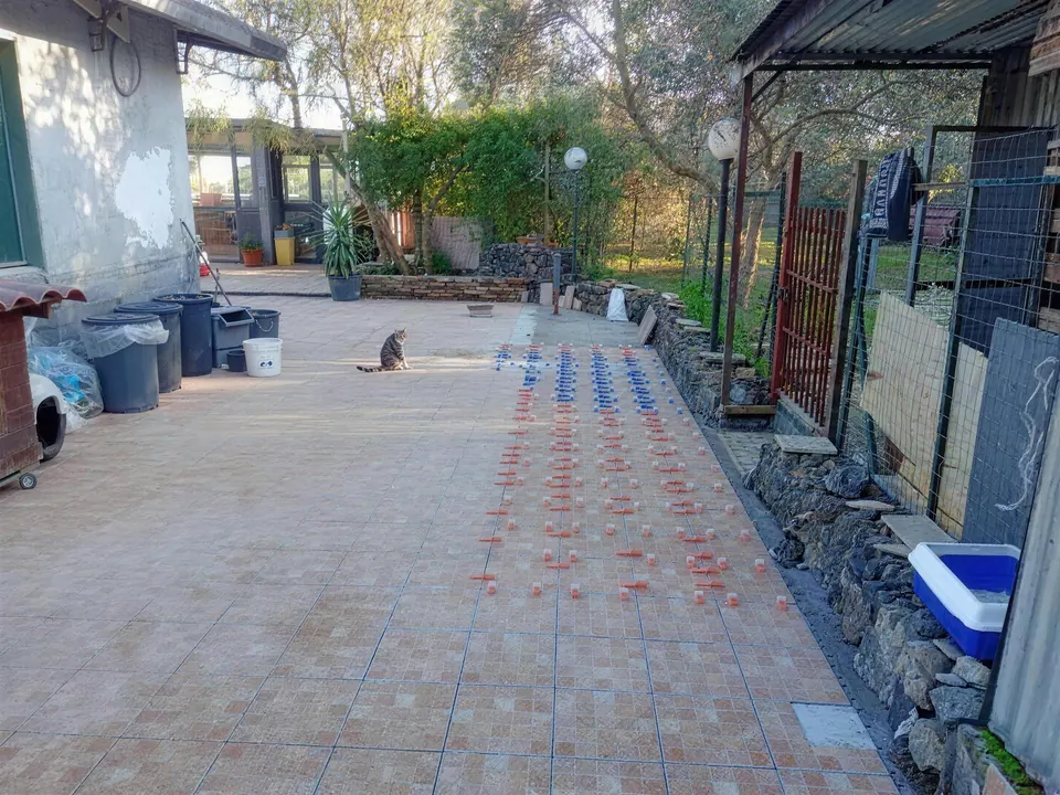 Pavimentazione esterna in piastrelle appena posata in un cortile